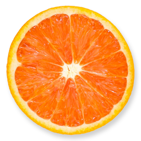Freshly sliced orange